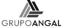 Grupo Angal